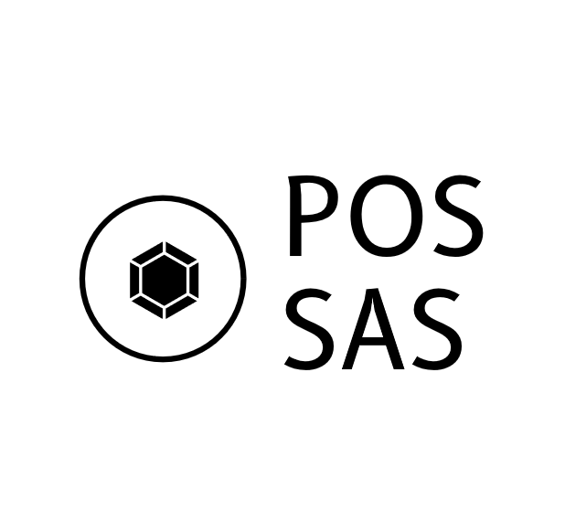 6 Month POS subscription