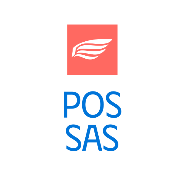 1 Year POS Subscription